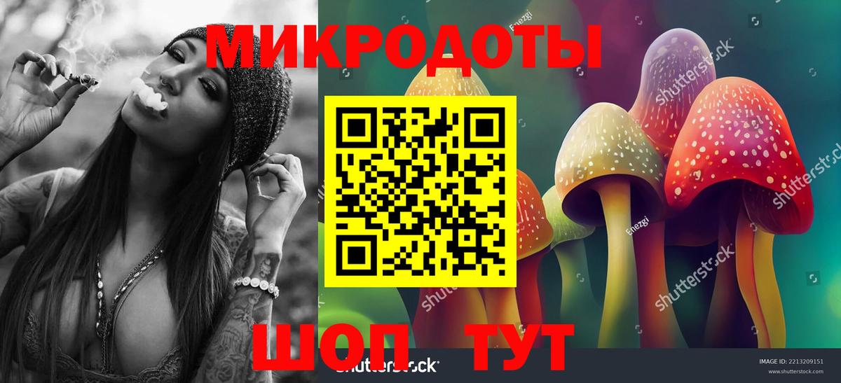 Галлюциногенные грибы Cubensis Губкин