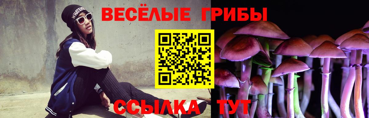 Галлюциногенные грибы мицелий  Псилоцибиновые грибы мицелий  Вход с VPN  Губкин 